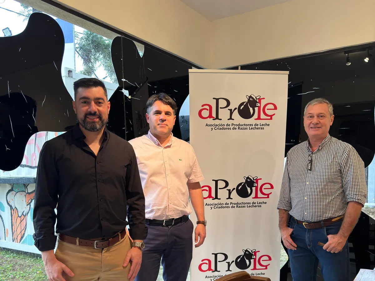 Equipo de Avance Software en aProLe, Asunción
